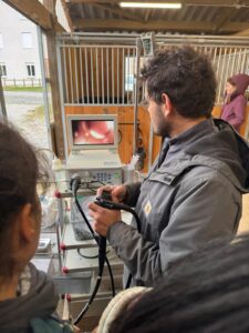 Endoscopie